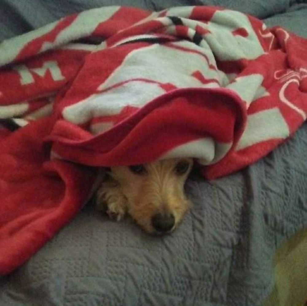 Meet your Posher, Traci